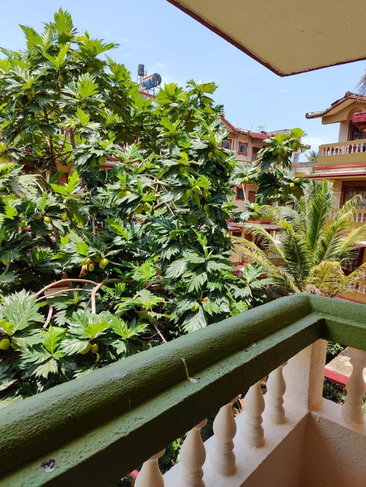 Villa Calangute Candolim Bay And